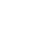 birds_White