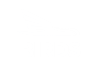 birds_White